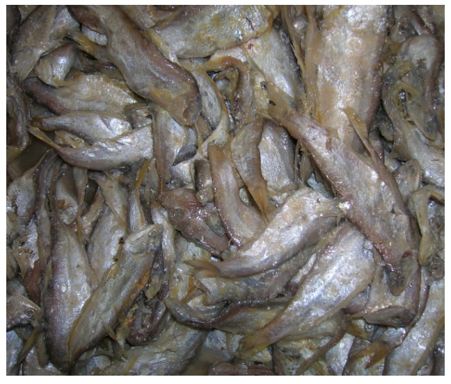 밴댕이젓 절임젓갈 2kg 송어젓 절인젖갈 - 메인 이미지