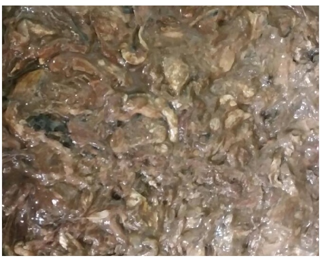 갈치속절임 갈치창절임1kg 갈치속 갈치창 - 상품 이미지