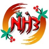 참인삼 스토어 로고