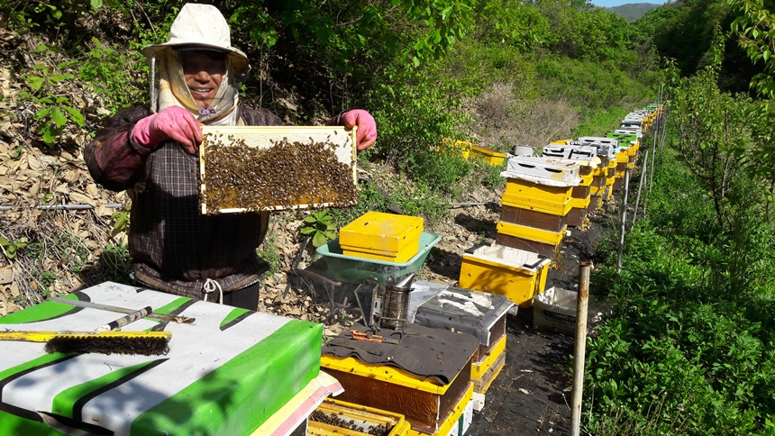 <b><p>Korean Bee pollen Raw 1,2kg Swt honey Pn</p></b><b><p>韓国語 ハチ花粉 生1,2kg ユイルジョン蜂蜜 天然はちみつ</p></b><br /><br /><p align='center'>