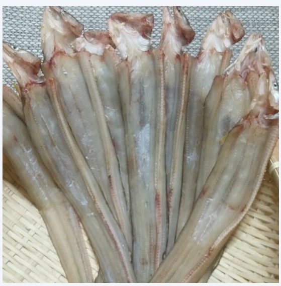 반건조 바다장어 (중) 500g (2-3마리) 장어구이 장어조림 마른생선