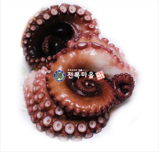 활문어 500 1kg 생문어 돌문어 자숙문어(조업당일발송상품)