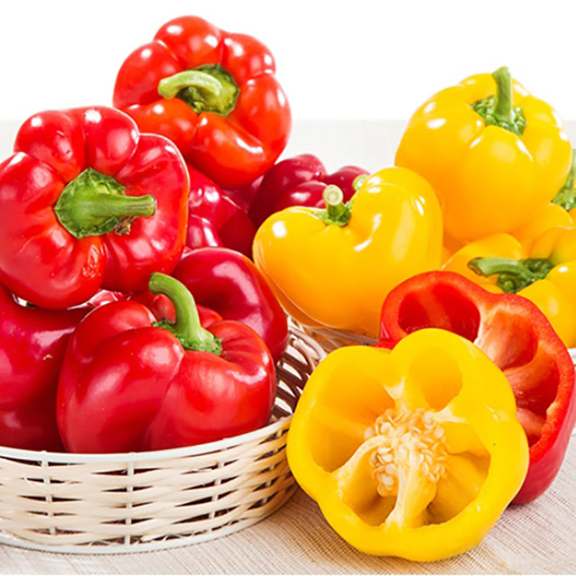 노랑 빨강혼합 실속형 파프리카 3kg