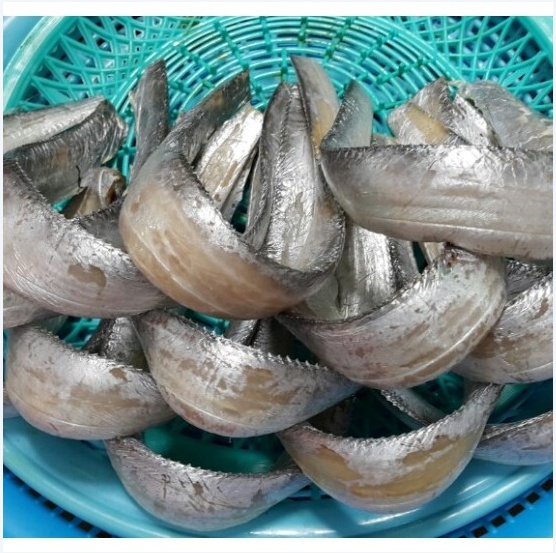 반건조 풀치 마른 통갈치 10마리 건조풀치 먹갈치 말린갈치