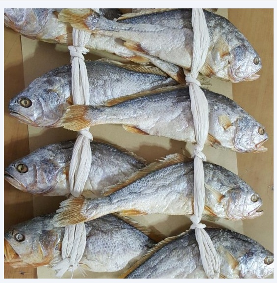 영광굴비 보리굴비(10마리) 참조기 법성포 선물용