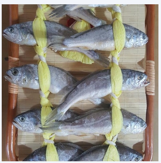 영광굴비 오가1호(10마리)세트 영광법성포굴비 선물용조기