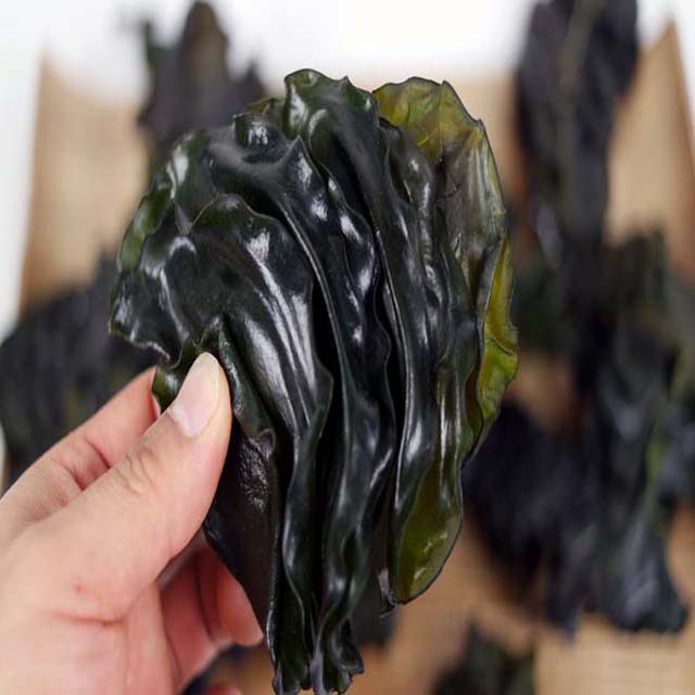 25년 미역귀 많이 짜지않는 깨끗한 최상품 완도 미역귀