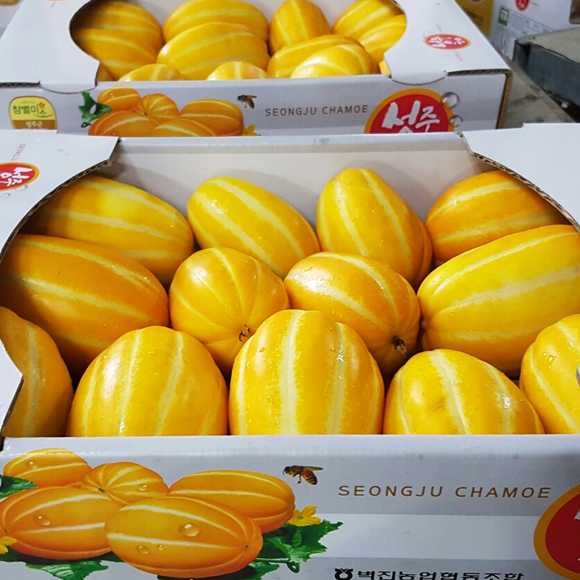 유기농 참외 참외 고르는법 참외 후기 참외 5kg 깊은 맛 참외