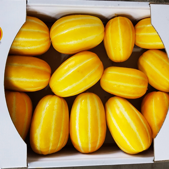 유기농 참외 참외 고르는법 참외 후기 참외 5kg 깊은 맛 참외