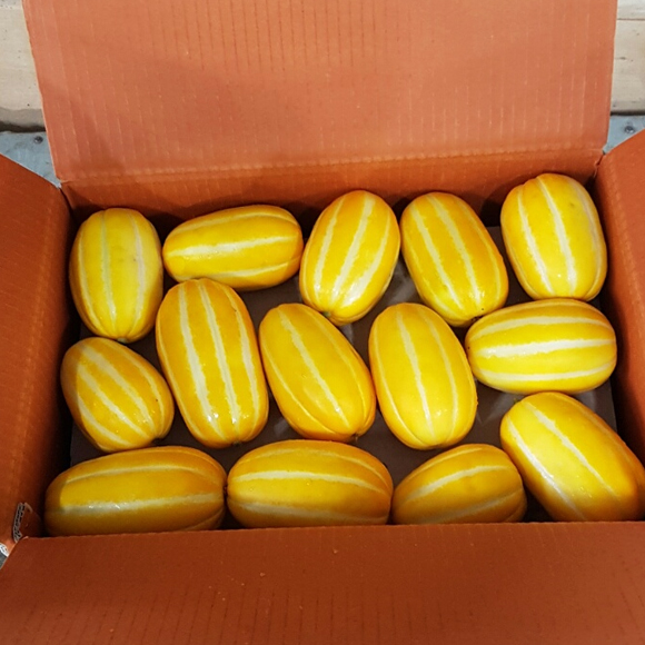 유기농 참외 참외 고르는법 참외 후기 참외 5kg 깊은 맛 참외