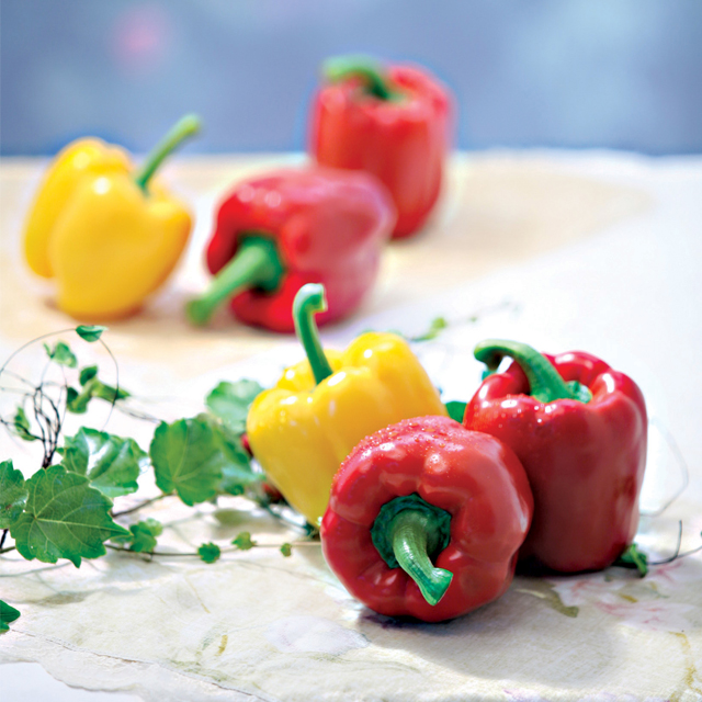 노랑 빨강혼합 실속형 파프리카 3kg