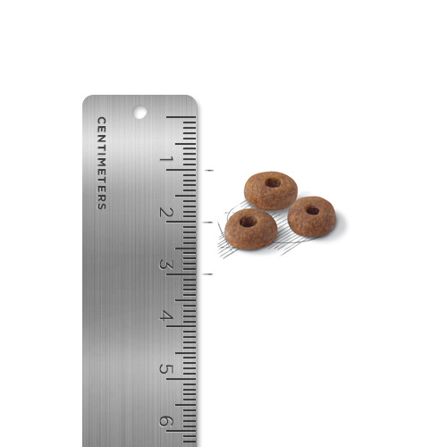로얄캐닌 피트 성묘용2kg 헤어볼감소 체중유지 요로기건강 - 상세 이미지 2