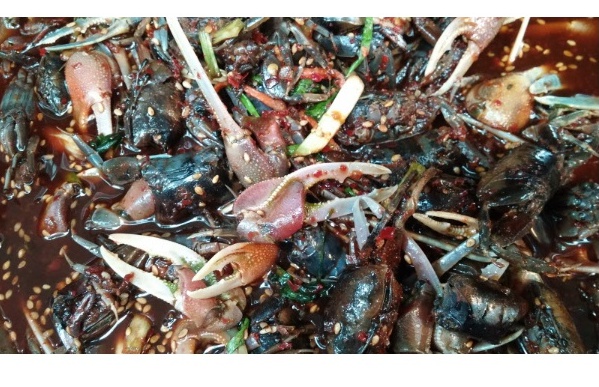 활농게 1kg (조업당일발송상품) 농개 뻘농게 붉은발농게 능쟁이게장 - 상세 이미지 2