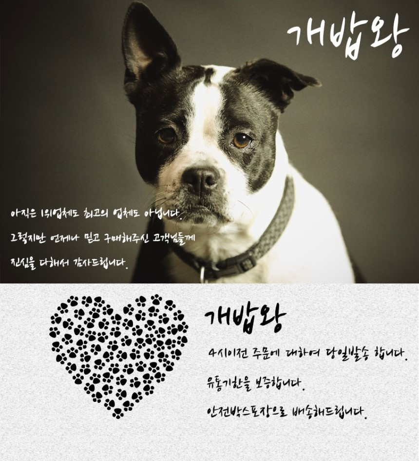 Puppy dog ​​100 large pieces of work dog urine Dia