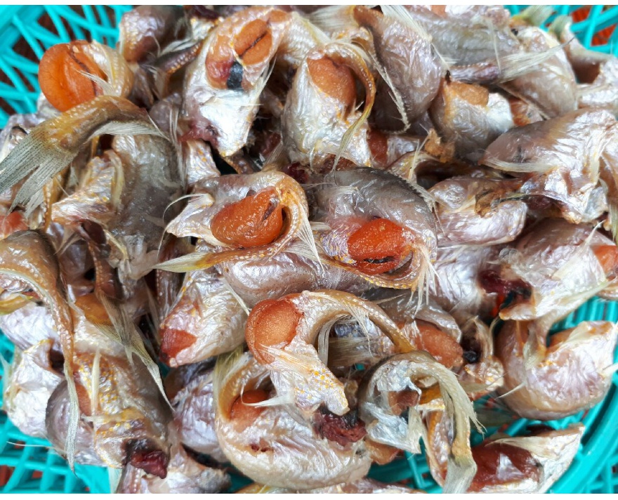 반건조 황석어 500-1kg 말린 강달어 황새기 깡다리 강달어 두절황석어 두절깡다리