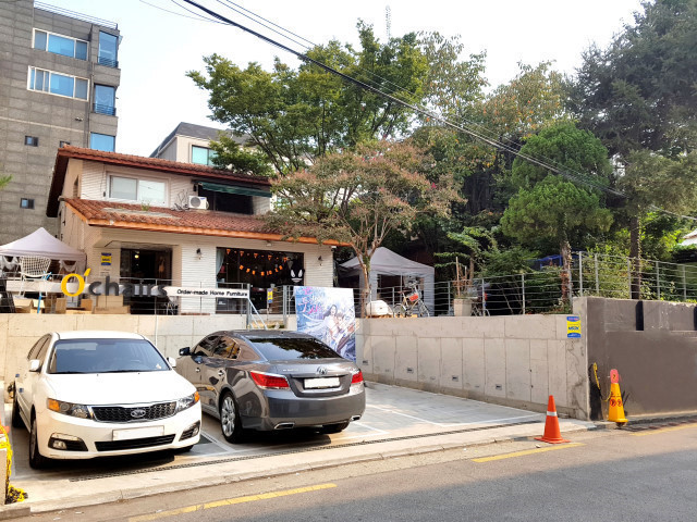 Scrubber Dish Washing Standing Cat Cute Scrub Scan