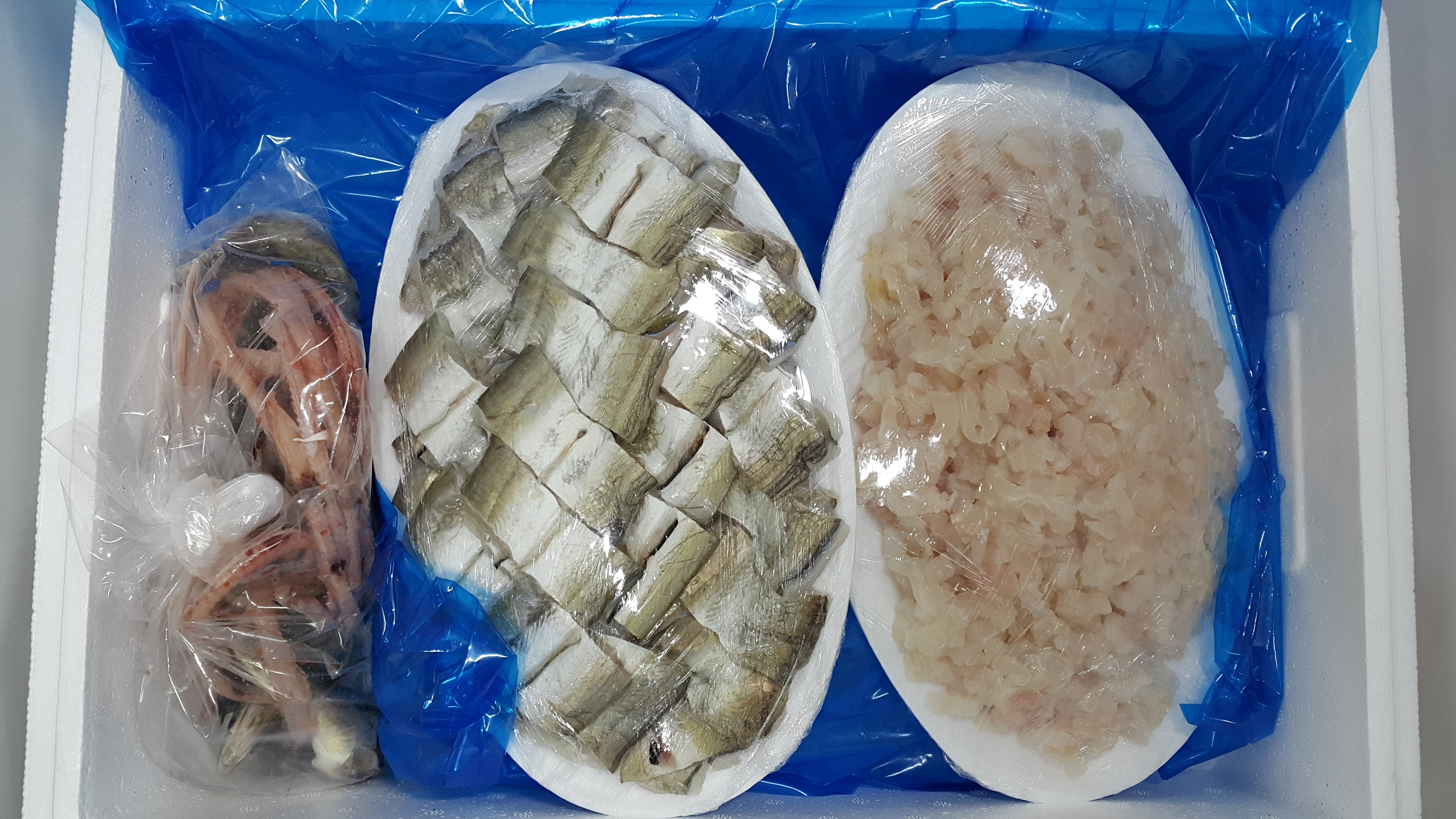 갯장어 하모샤브 최상급 500g 1kg 3-4미 샤브샤브 회 구이 - 상세 이미지 2