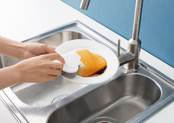 Scrubber Dish Washing Modern kitchen with a soothi