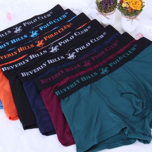 비버리힐스폴로클럽 남성 팬티 드로즈 7종