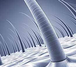 NEW HAIR CARE Gin-Ame CMC Treatment Beauty Salon S