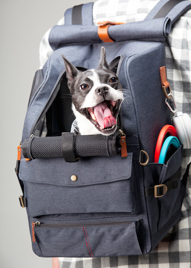 Haiblaub Dog Backpack Deep Gray Dog Bag Carrier Go