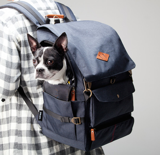 Haiblaub Dog Backpack Deep Gray Dog Bag Carrier Go