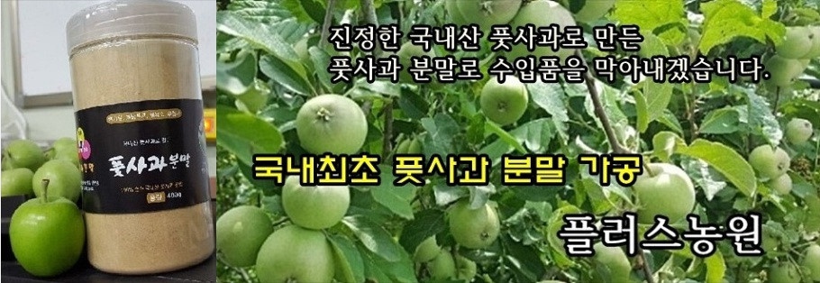 <b><p>Korean Pus powder 400g pu 1% No additives</p></b><b><p>韓国語 プトサグァ 粉末 400g 純粋な 1％ 無添加 販売 国内産 国産 食べ方</p></b><br /><br /><p align='center'>