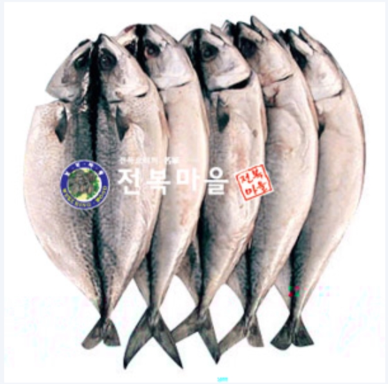 간고등어(대) 자반고등어 10마리 염장생선 고갈비구이