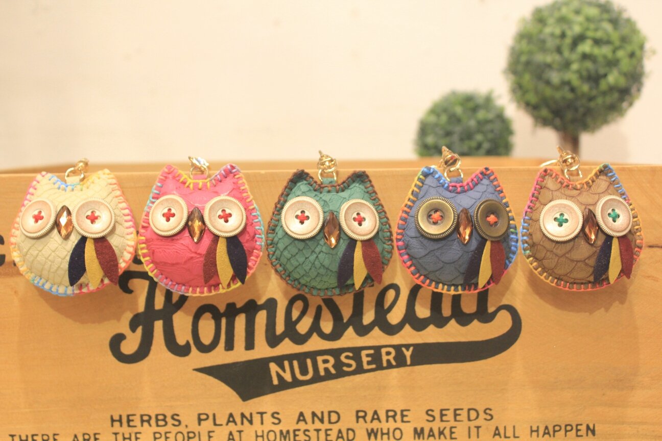 Good luck owl key ring to bless