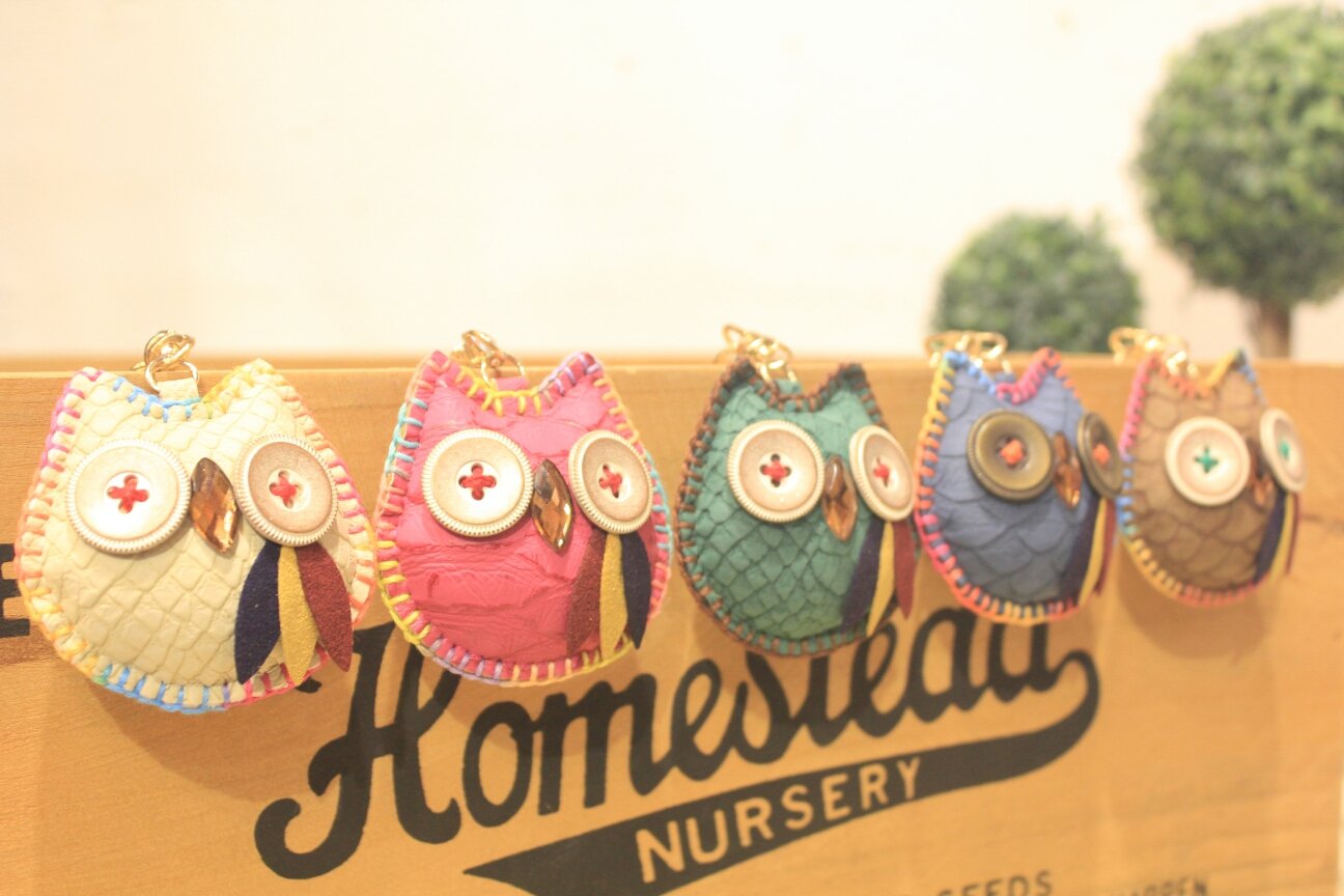 Good luck owl key ring to bless