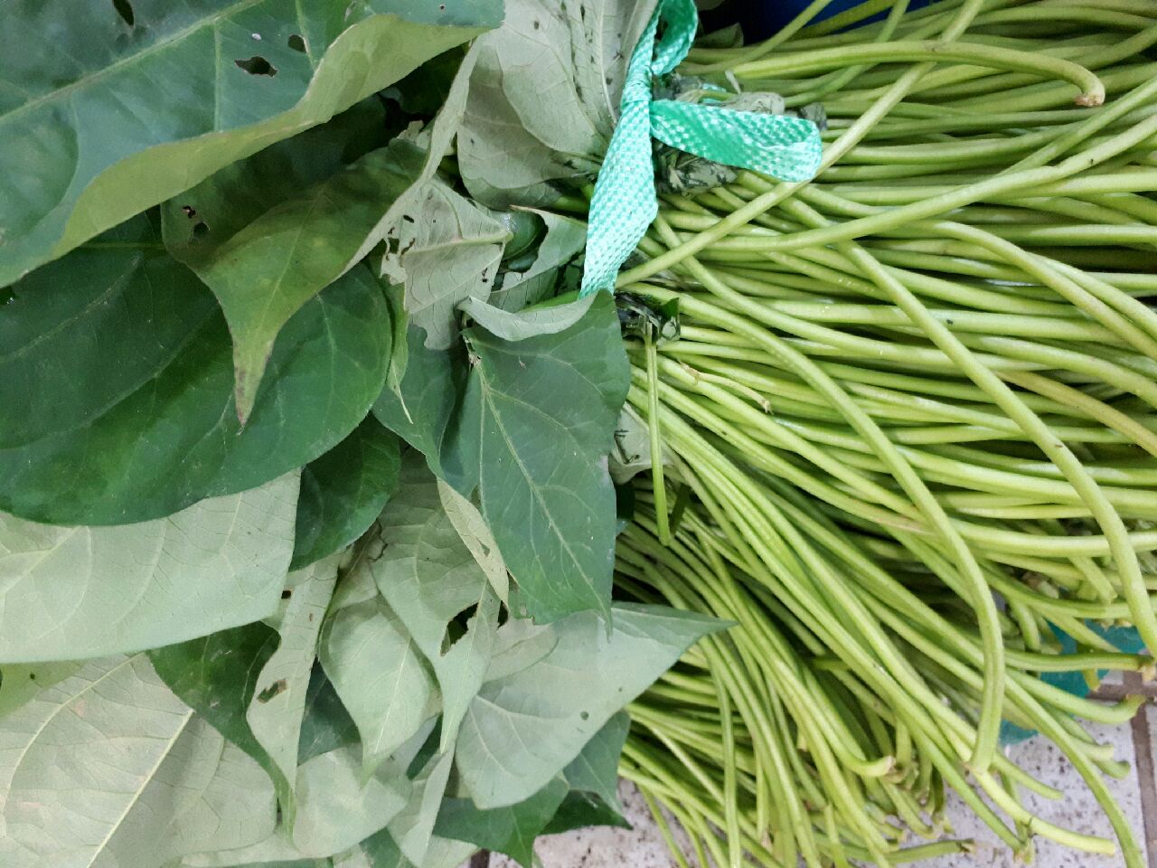 데친 고구마줄기 1kg 고구마순 김치 생고구마줄기볶음 여름나물 이미지 2