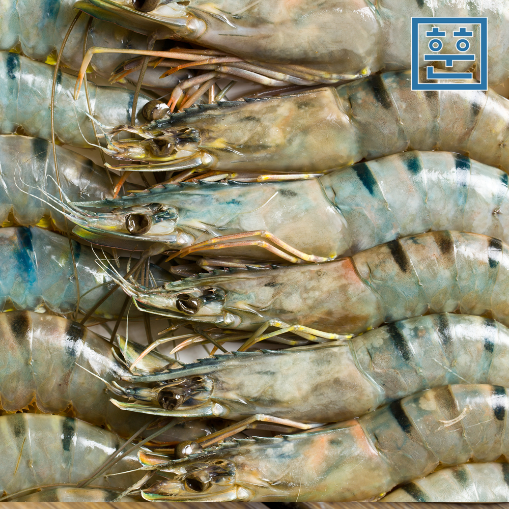 훈훈수산 블랙타이거새우 500g 1팩 이미지 7