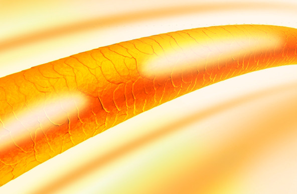 NEW HAIR CARE Gin-Ame CMC Treatment Beauty Salon S