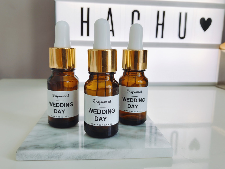 Car Air Freshener Gypsum Aroma Refill Oil 10ml Dif