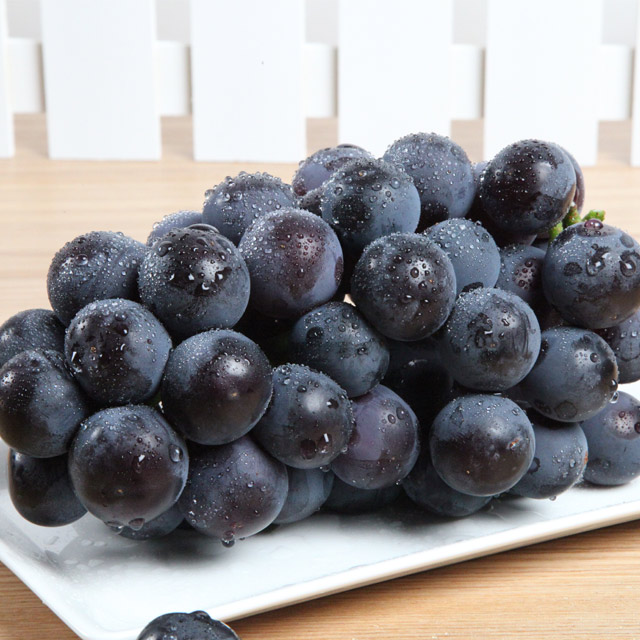 여름 캠벨 포도 2kg(특품) 샤인머스켓 - 상세 이미지 2