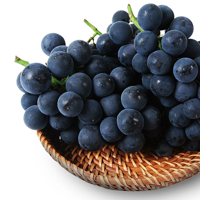 여름 캠벨 포도 2kg(특품) 샤인머스켓