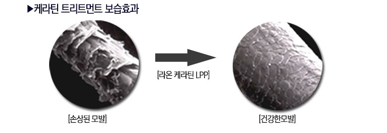 NEW HAIR CARE Laon Glam Up Keratin LPP Hair Treatm