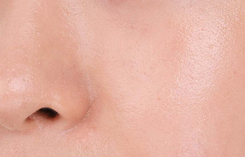 Makeup Eagle Lips Covers Powder Factor + Puff 1 pi