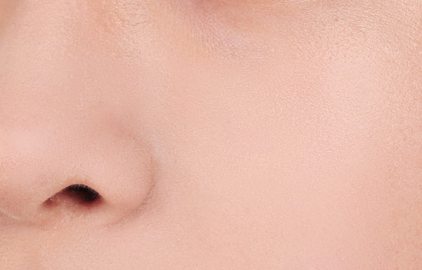 Makeup Eagle Lips Covers Powder Factor + Puff 1 pi