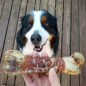 대형견간식 소뼈 강아지뼈간식 강아지 소뿔껌 M 특식 솔직 후기 | 실제 사용자 리뷰 총정리 - 상품 이미지 4