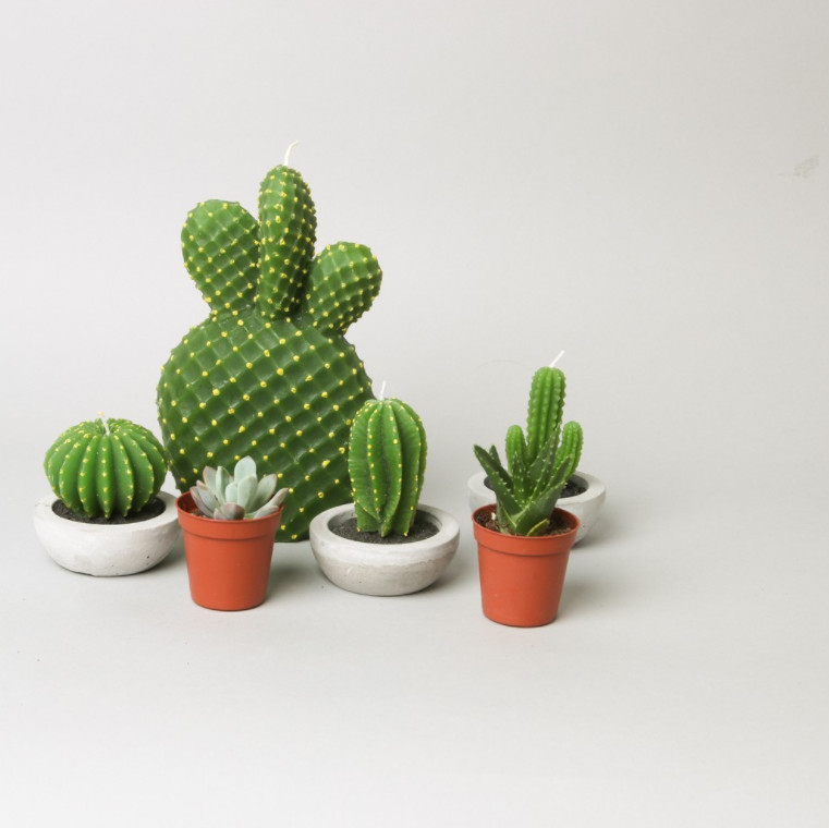 NEW CANDLE Cactus Candle Candle Miniature Decorate