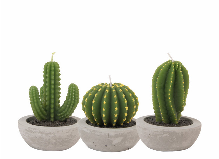 NEW CANDLE Cactus Candle Candle Miniature Decorate