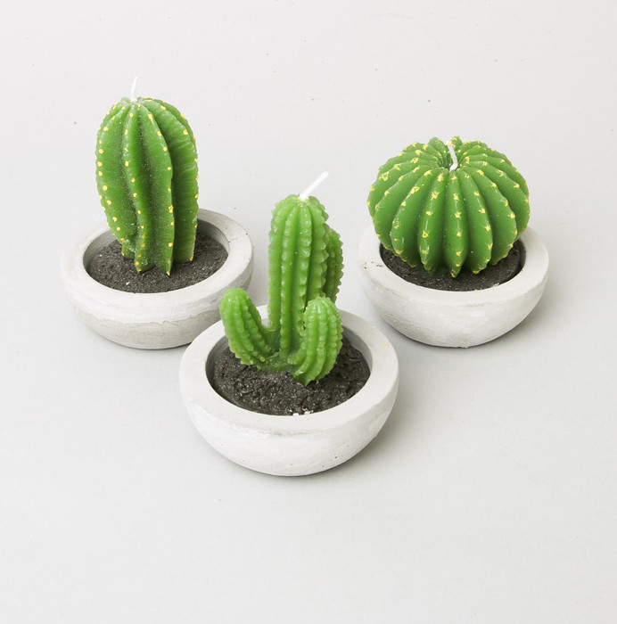 NEW CANDLE Cactus Candle Candle Miniature Decorate