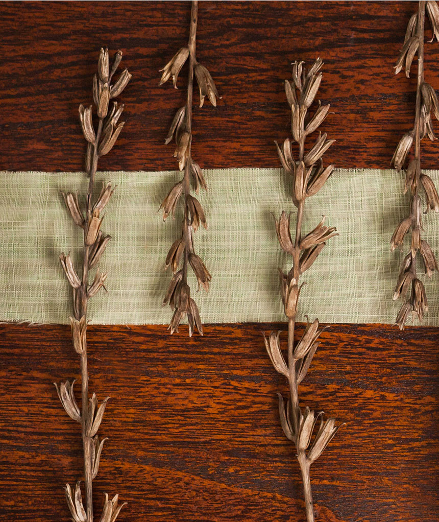 <b><p>Ungang Goal Raw squeeze Kore Eveni Primrose</p></b><b><p>雲長ゴール 生圧着 韓国語 月見草オイル 油 効能 国産 オメガ6</p></b><br /><br /><p align='center'>