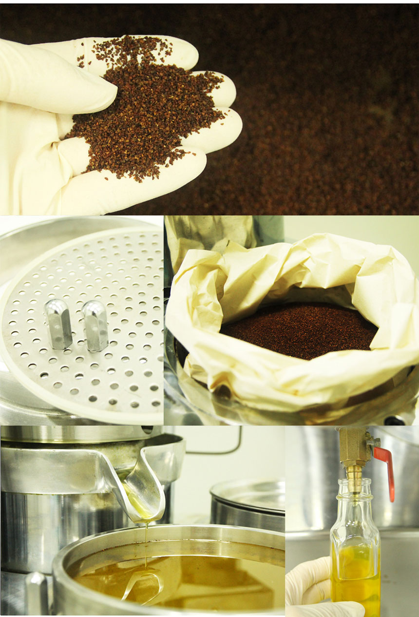 <b><p>Ungang Goal Raw squeeze Kore Eveni Primrose</p></b><b><p>雲長ゴール 生圧着 韓国語 月見草オイル 油 効能 国産 オメガ6</p></b><br /><br /><p align='center'>