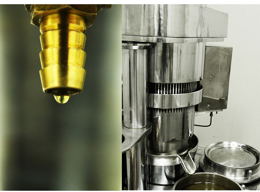 <b><p>Ungang Goal Raw squeeze Kore Eveni Primrose</p></b><b><p>雲長ゴール 生圧着 韓国語 月見草オイル 油 効能 国産 オメガ6</p></b><br /><br /><p align='center'>