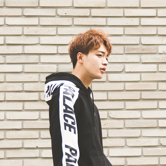 남자가발 투블럭 스핀스왈로 애즈펌 밀크브라운 이미지 6