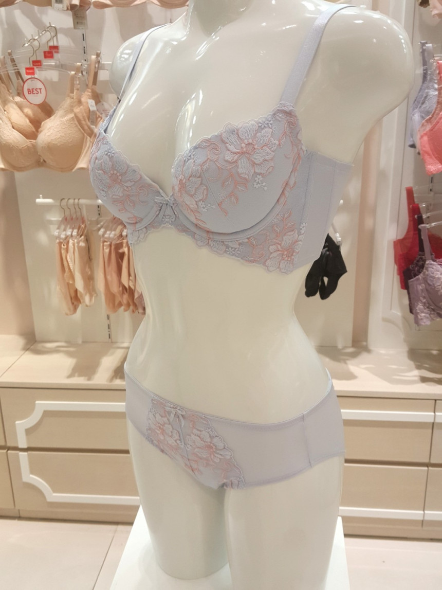 Triumph Blue B ~ D Cup Butterfly Functional Calibr