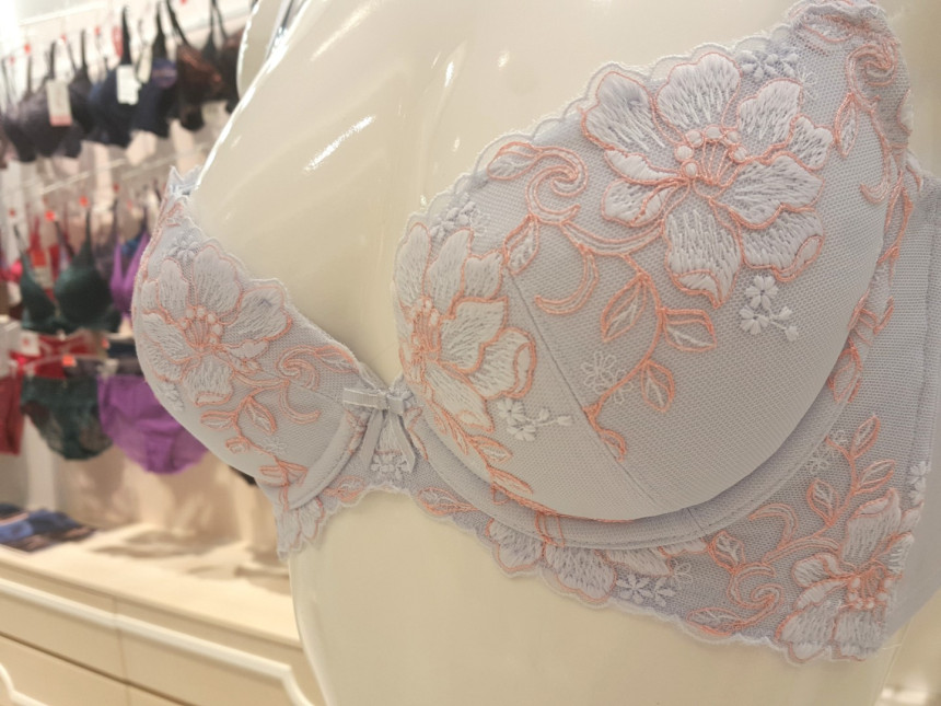Triumph Blue B ~ D Cup Butterfly Functional Calibr
