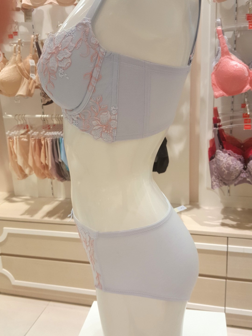 Triumph Blue B ~ D Cup Butterfly Functional Calibr
